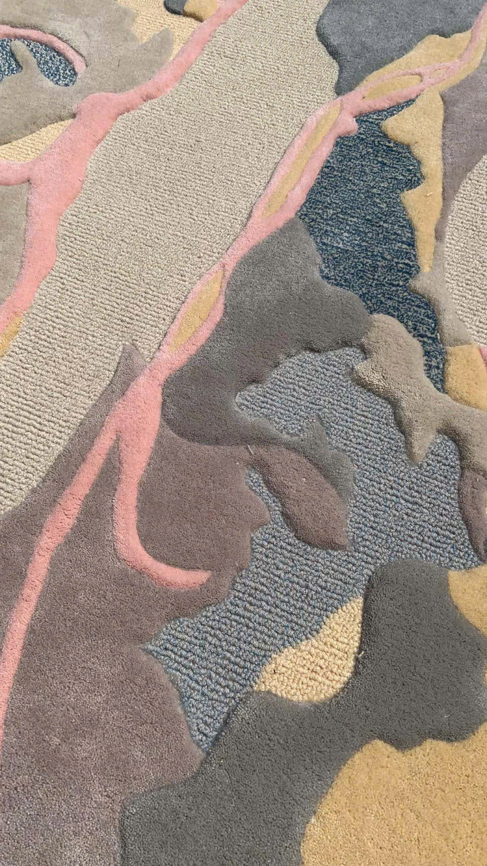 Fossil Rug