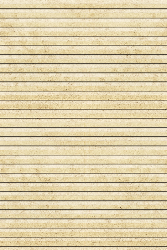 Plush Texture - Beige