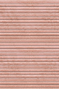 Plush Texture - Dusty Pink