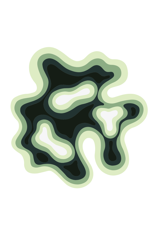 Matcha Flow Rug
