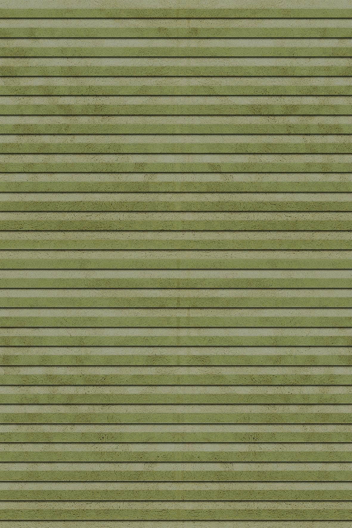 Plush Texture - Avocado